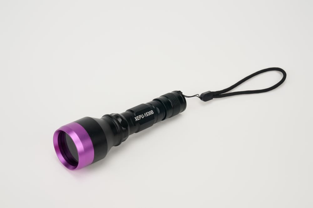 What Are Blacklight Flashlights Used For?