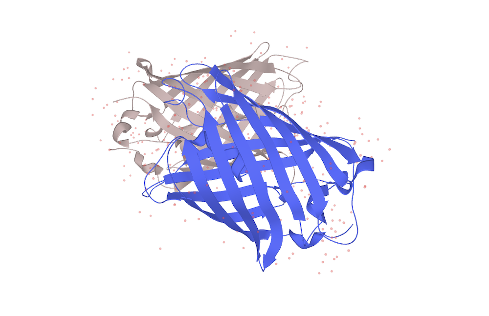 structure of green fluorescent protein (GFP)