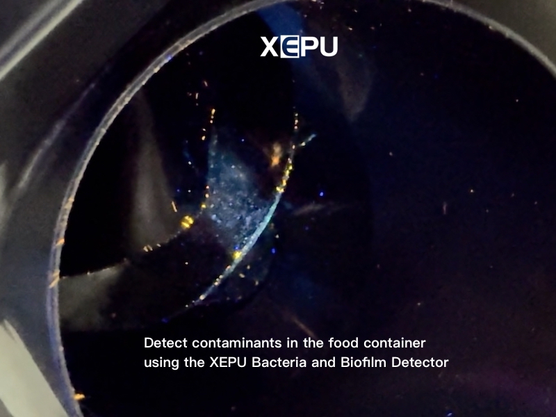 Detect contaminants in the food container using XEPU-1720 Bacteria and Biofilm Detector