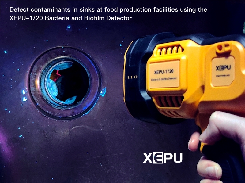 Detect contaminants in sinks using XEPU-1720 bacteria bioflm detector