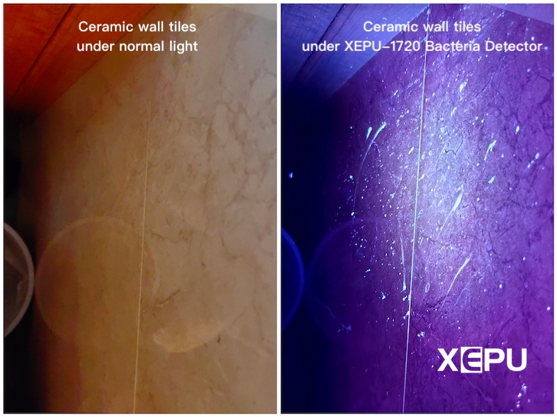 Detect ceramic wall tiles using XEPU-1720 bacteria bioflm detector.jpg